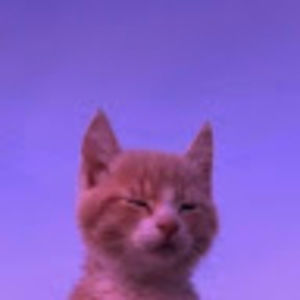 Meet your Posher, Gia